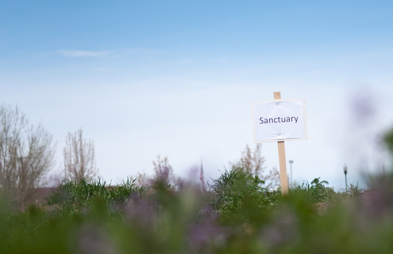 Prayer on the Land